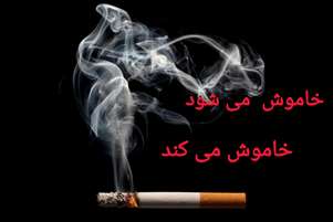 آسیب های گسترده دخانیات برای اعضای بدن