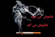 آسیب های گسترده دخانیات برای اعضای بدن