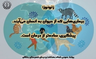 آموزش‌های پیشگیرانه سرپرست شبکه بهداشت و درمان شهرستان بختگان، در خصوص بیماری ‌های مشترک بین انسان و حیوان (زئونوز)